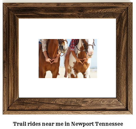 trail rides near me in Newport, Tennessee